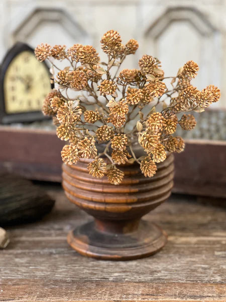 Russet Cone Bush | 12" | Cinnamon
