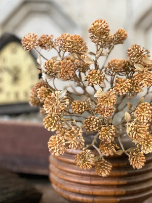 Russet Cone Bush | 12" | Cinnamon